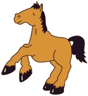 Stuchbery Elementary 1st Grade Stallions School Supply List 2023-2024