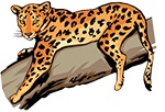 Cedar Park Middle School 6th Grade Leopards School Supply List 2021-2022