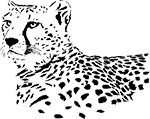 Cypress Elementary School Kindergarten Cheetahs School Supply List 2022-2023