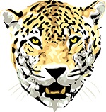 Giddens Elementary School 1st Grade Jaguars School Supply List 2023-2024
