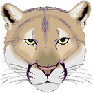 Running Brushy Middle School 8th Grade Cougars School Supply List 2022-2023