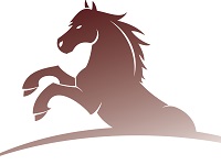 Steiner Ranch Elementary School 1st Grade Stallions School Supply List 2023-2024
