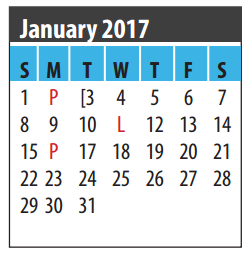 District School Academic Calendar for Clear View Education Center for January 2017