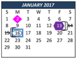 District School Academic Calendar for Tarrant Co J J A E P for January 2017