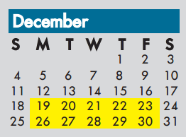 District School Academic Calendar for The Academy Of Irving Isd for December 2016