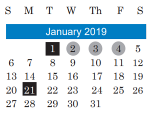 District School Academic Calendar for Pearce M S for January 2019