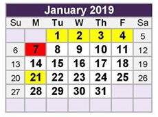 District School Academic Calendar for Tarrant Co J J A E P for January 2019