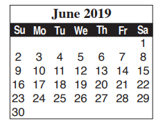 District School Academic Calendar for Brownsville Learning Acad for June 2019