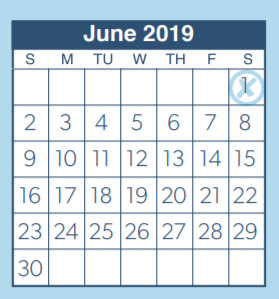 District School Academic Calendar for Oak Ridge High School for June 2019