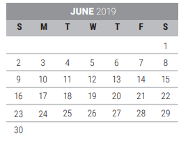 District School Academic Calendar for Bright Elementary for June 2019