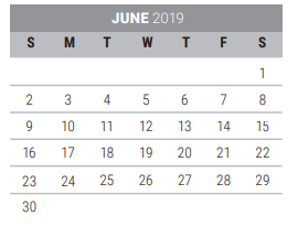 District School Academic Calendar for Pink Elementary for June 2019