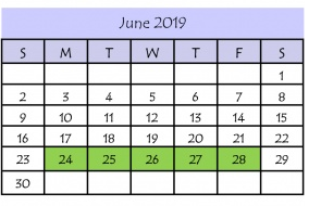 District School Academic Calendar for E B Reyna Elementary for June 2019