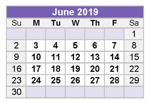 District School Academic Calendar for Midland Excel Campus for June 2019