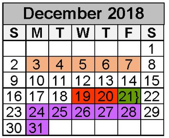 District School Academic Calendar for New Caney High School for December 2018