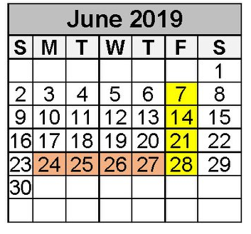 District School Academic Calendar for Valley Ranch Elementary for June 2019