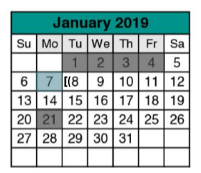 District School Academic Calendar for Williamson Co J J A E P for January 2019