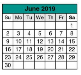 District School Academic Calendar for Wells Branch Elementary for June 2019