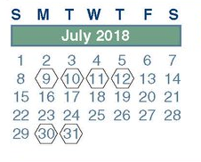 District School Academic Calendar for Spring High School for July 2018