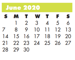 District School Academic Calendar for Milam Elementary for June 2020