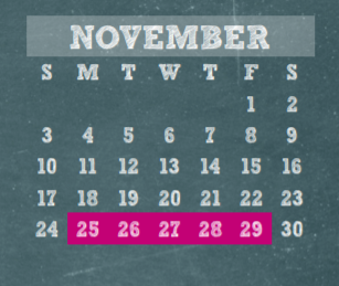 District School Academic Calendar for Harris Co Jjaep for November 2019