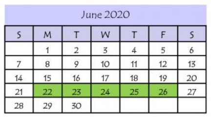 District School Academic Calendar for Elodia R Chapa Elementary for June 2020