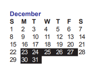 District School Academic Calendar for Excel Academy for December 2019