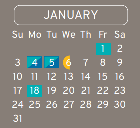 District School Academic Calendar for Aldine Ninth Grade School for January 2021