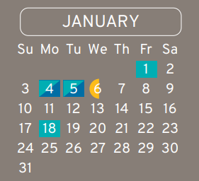 District School Academic Calendar for Johnson Elementary for January 2021