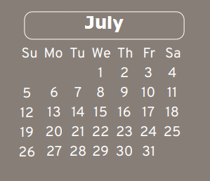 District School Academic Calendar for Stehlik Intermediate for July 2020