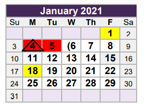 District School Academic Calendar for Birdville High School for January 2021