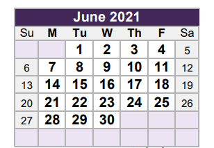 District School Academic Calendar for Tarrant Co J J A E P for June 2021