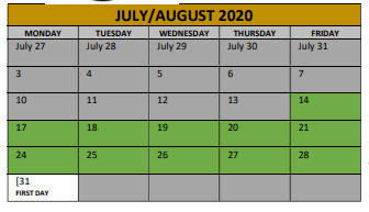 District School Academic Calendar for Irving Elementary for August 2020