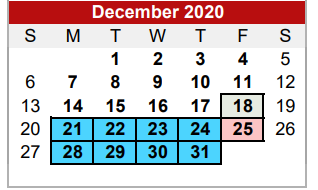 District School Academic Calendar for Central Elementary School for December 2020