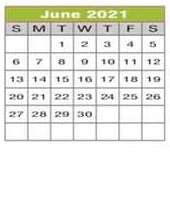 District School Academic Calendar for Borman Elementary for June 2021