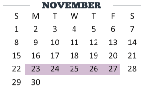 District School Academic Calendar for Cameron Co J J A E P for November 2020