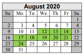 District School Academic Calendar for Excel Academy for August 2020