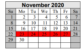 District School Academic Calendar for Excel Academy for November 2020