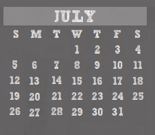 District School Academic Calendar for Wunderlich Intermediate for July 2020