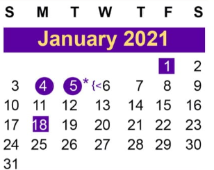District School Academic Calendar for Slack Elementary for January 2021