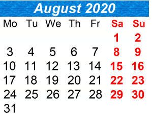District School Academic Calendar for P.S. 128 Audubon School for August 2020