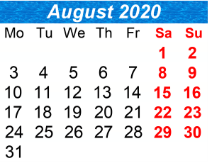 District School Academic Calendar for P.S.  21 Edward Hart School for August 2020
