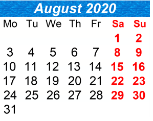 District School Academic Calendar for P.S. 128 Bensonhurst School for August 2020