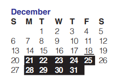 District School Academic Calendar for Stevens High School for December 2020