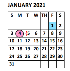 District School Academic Calendar for Doedyns Elementary for January 2021