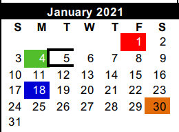 District School Academic Calendar for Cameron Co J J A E P for January 2021