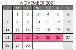 District School Academic Calendar for Spicer Alter Ed Ctr for November 2021