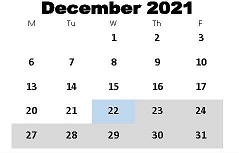 District School Academic Calendar for Luella High School for December 2021