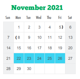 District School Academic Calendar for Bruni Elementary School for November 2021