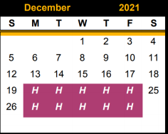 District School Academic Calendar for Snyder H S for December 2021