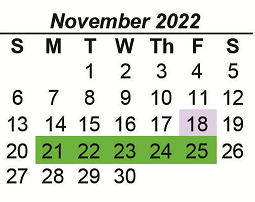 District School Academic Calendar for Aces Campus for November 2022